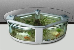 Coffee Table Fish Aquarium 	